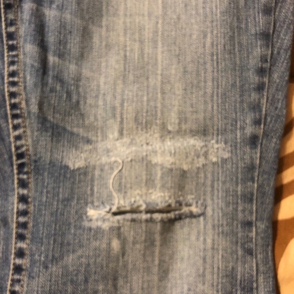 Florida Gator Jeans by Alyssa Milano Touch - Picture 3 of 7